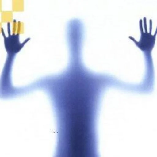 Shane Hartman