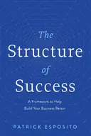 Cover image for The Structure of Success