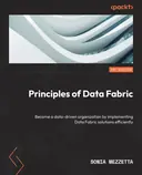 Cover image for Principles of Data Fabric