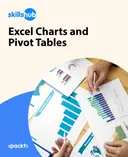 Cover image for Excel Charts and Pivot Tables